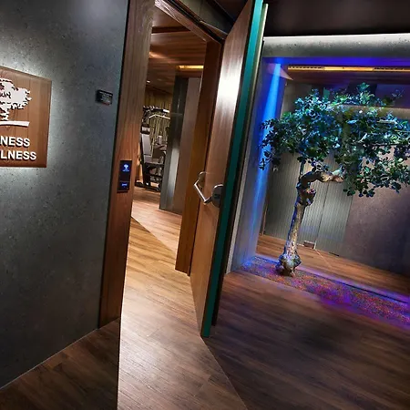 Cavour Hotel 4*